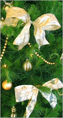 Live Christmas Tree - Mid Sized 8 foot, Golden Lustre and Champagne decorations