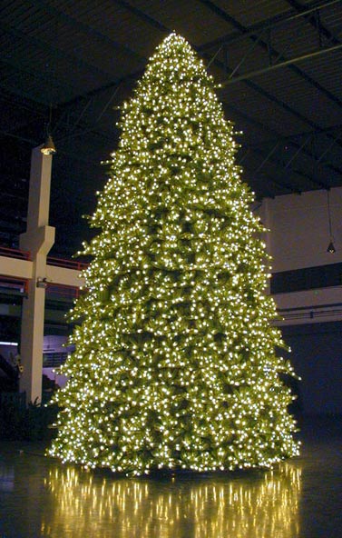 Large Foyer Indoor Christmas Tree, the 